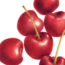 將圖片載入圖庫檢視器 Derwent - Blender & Burnisher