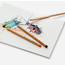 將圖片載入圖庫檢視器 PITT Pastel Pencil Sets, 24-Pencil Tin Set