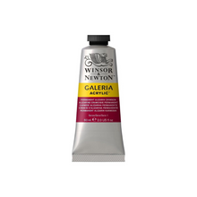 Cargar imagen en el visor de la galería, Winsor and Newton Galeria Acrylics 60ml