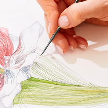 將圖片載入圖庫檢視器 Majestic Detail Brush Set, 11 Pieces