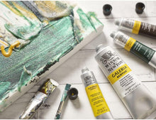 Cargar imagen en el visor de la galería, Winsor and Newton Galeria Acrylics 60ml