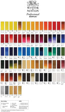 Cargar imagen en el visor de la galería, W&N professional acrylics 60ml