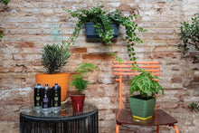 Charger l'image dans la galerie, MTN Pro Plastics Primer