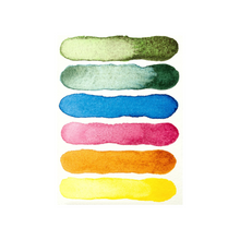 Lade das Bild in den Galerie-Viewer, Extra Fine Watercolor Half Pan Sets, 6-Color Half Pan Set Floral