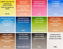 將圖片載入圖庫檢視器 Winsor & Newton - Cotman Plus - Juego de paleta de acuarelas con 12 tubos de 0.3 onzas líquidas (tubo)