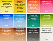 將圖片載入圖庫檢視器 Winsor & Newton - Cotman Pocket Plus - Juego de 12 pastillas de acuarela