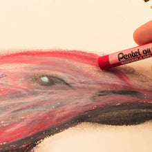 將圖片載入圖庫檢視器 Pentel Art Oil Pastels 50 color set