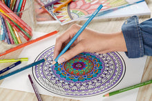 Cargar imagen en el visor de la galería, prismacolor Premier® Soft Core Colored Pencil Set 48