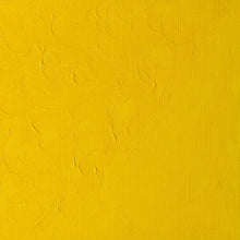 將圖片載入圖庫檢視器 Winton Oil Colors, 200ml Tubes