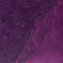 將圖片載入圖庫檢視器 Winton Oil Colors, 200ml Tubes