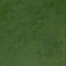 將圖片載入圖庫檢視器 Winton Oil Colors, 200ml Tubes