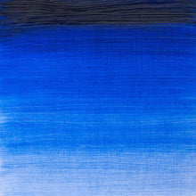 將圖片載入圖庫檢視器 Winton Oil Colors, 200ml Tubes