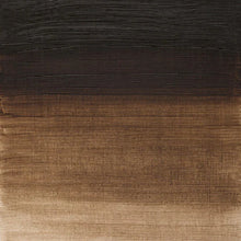 將圖片載入圖庫檢視器 Winton Oil Colors, 200ml Tubes