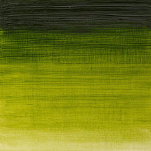 將圖片載入圖庫檢視器 Winton Oil Colors, 200ml Tubes