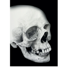 Load image into Gallery viewer, Skull Edition Black &amp; White Drawing Box Set, 25-Piece Box Set
