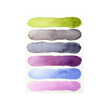 Cargar imagen en el visor de la galería, Extra Fine Watercolor Half Pan Sets, 6-Color Half Pan Colors of Inspiration
