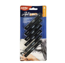 Load image into Gallery viewer, ArtPro set de carboncillo para dibujar
