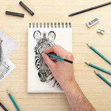 Cargar imagen en el visor de la galería, Juego de arte profesional – lápices de dibujo, dibujo y carbón.
