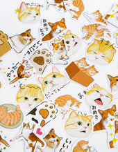 Cargar imagen en el visor de la galería, 46pcs Cat Pattern Sticker&quot;

