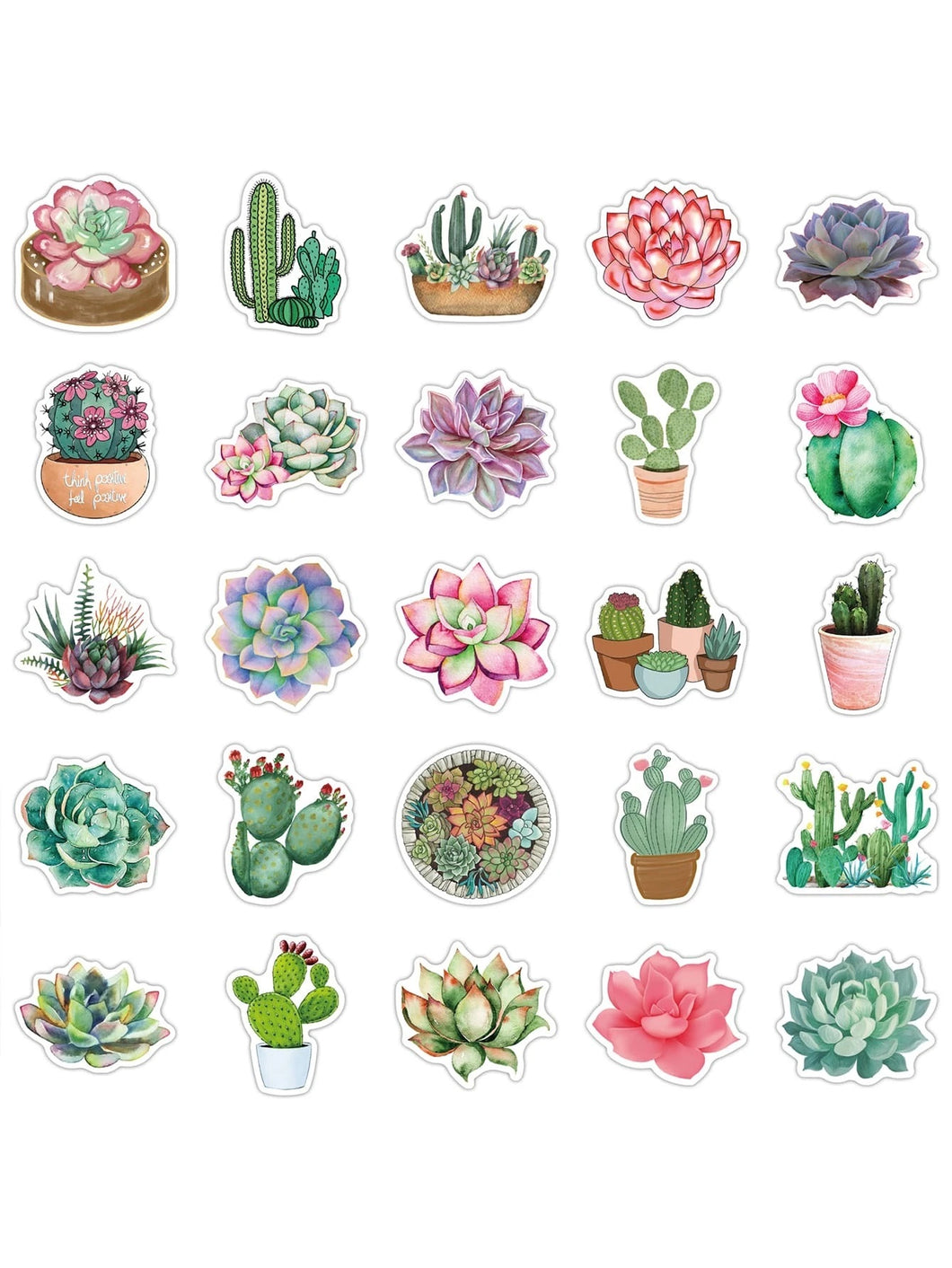 50pcs Succulents Pattern Sticker